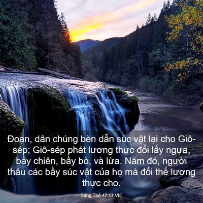 Picture 03 - Sáng Thế 47:17 VIE - Đoạn, dân chúng bèn dẫn súc vật lại - Bible Verse Picture