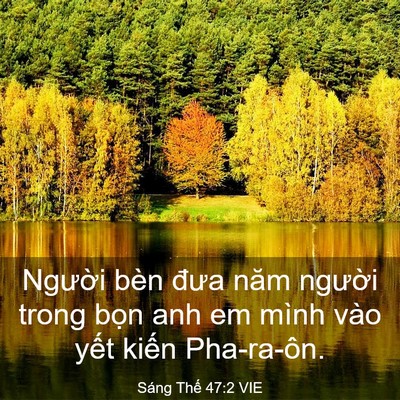 Picture 03 - Sáng Thế 47:2 VIE - Người bèn đưa năm người trong bọn anh - Bible Verse Picture