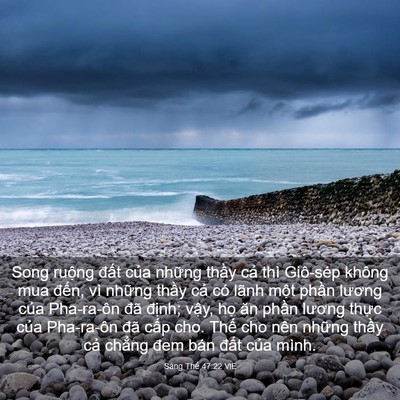 Picture 03 - Sáng Thế 47:22 VIE - Song ruộng đất của những thầy cả - Bible Verse Picture