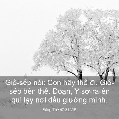 Picture 03 - Sáng Thế 47:31 VIE - Giô-sép nói: Con hãy thề đi. Giô-sép - Bible Verse Picture