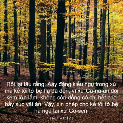 Picture 03 - Sáng Thế 47:4 VIE - Rồi lại tâu rằng: Aáy đặng kiều - Bible Verse Picture