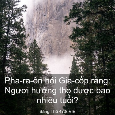 Picture 03 - Sáng Thế 47:8 VIE - Pha-ra-ôn hỏi Gia-cốp rằng: Ngươi - Bible Verse Picture