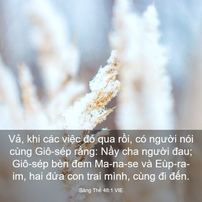 Picture 03 - Sáng Thế 48:1 VIE - Vả, khi các việc đó qua rồi, có - Bible Verse Picture