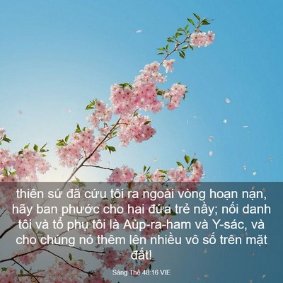 Picture 03 - Sáng Thế 48:16 VIE - thiên sứ đã cứu tôi ra ngoài vòng - Bible Verse Picture
