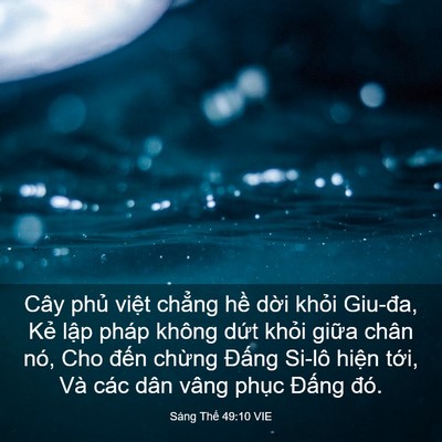 Picture 03 - Sáng Thế 49:10 VIE - Cây phủ việt chẳng hề dời khỏi - Bible Verse Picture