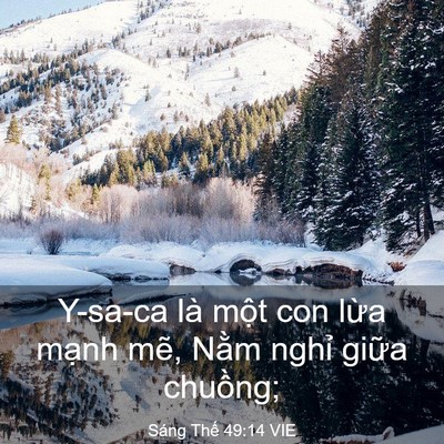 Picture 03 - Sáng Thế 49:14 VIE - Y-sa-ca là một con lừa mạnh mẽ, Nằm - Bible Verse Picture