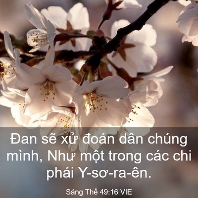 Picture 03 - Sáng Thế 49:16 VIE - Đan sẽ xử đoán dân chúng mình, Như - Bible Verse Picture