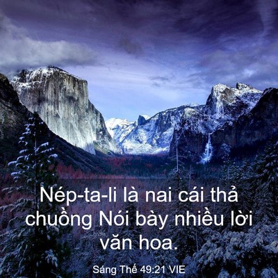 Picture 03 - Sáng Thế 49:21 VIE - Nép-ta-li là nai cái thả chuồng Nói bày - Bible Verse Picture