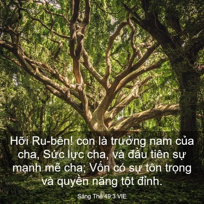 Picture 03 - Sáng Thế 49:3 VIE - Hỡi Ru-bên! con là trưởng nam của cha, - Bible Verse Picture