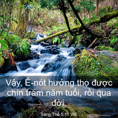 Picture 03 - Sáng Thế 5:11 VIE - Vậy, Ê-nót hưởng thọ được chín - Bible Verse Picture