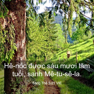 Picture 03 - Sáng Thế 5:21 VIE - Hê-nóc được sáu mươi lăm tuổi, sanh - Bible Verse Picture
