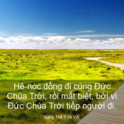 Picture 03 - Sáng Thế 5:24 VIE - Hê-nóc đồng đi cùng Đức Chúa Trời, - Bible Verse Picture