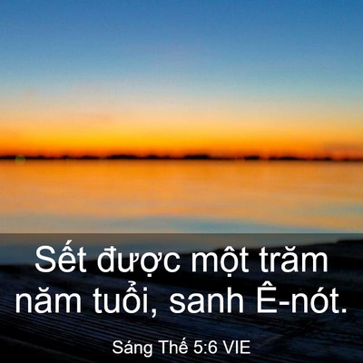 Picture 03 - Sáng Thế 5:6 VIE - Sết được một trăm năm tuổi, sanh - Bible Verse Picture