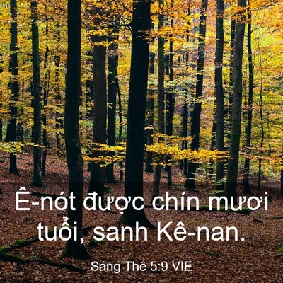 Picture 03 - Sáng Thế 5:9 VIE - Ê-nót được chín mươi tuổi, sanh - Bible Verse Picture