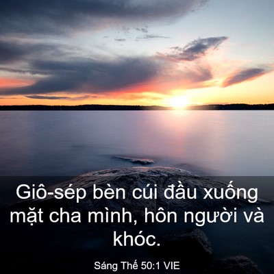 Picture 03 - Sáng Thế 50:1 VIE - Giô-sép bèn cúi đầu xuống mặt cha - Bible Verse Picture
