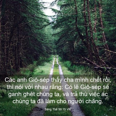 Picture 03 - Sáng Thế 50:15 VIE - Các anh Giô-sép thấy cha mình chết rồi, - Bible Verse Picture
