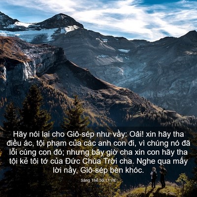 Picture 03 - Sáng Thế 50:17 VIE - Hãy nói lại cho Giô-sép như vầy: Oâi! - Bible Verse Picture