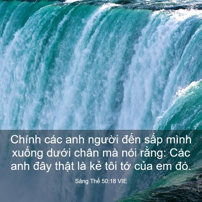 Picture 03 - Sáng Thế 50:18 VIE - Chính các anh người đến sấp mình - Bible Verse Picture