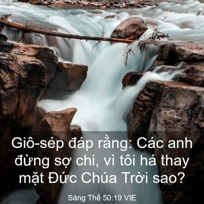 Picture 03 - Sáng Thế 50:19 VIE - Giô-sép đáp rằng: Các anh đừng sợ - Bible Verse Picture