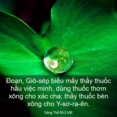 Picture 03 - Sáng Thế 50:2 VIE - Đoạn, Giô-sép biểu mấy thầy thuốc - Bible Verse Picture