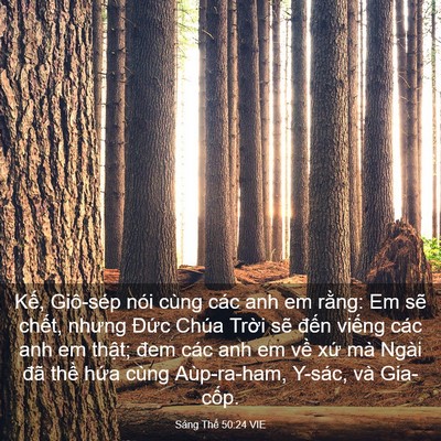 Picture 03 - Sáng Thế 50:24 VIE - Kế, Giô-sép nói cùng các anh em rằng: Em - Bible Verse Picture