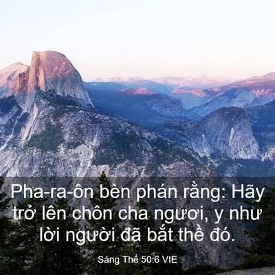 Picture 03 - Sáng Thế 50:6 VIE - Pha-ra-ôn bèn phán rằng: Hãy trở lên - Bible Verse Picture