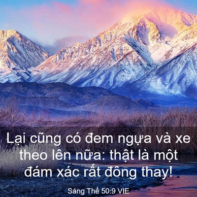 Picture 03 - Sáng Thế 50:9 VIE - Lại cũng có đem ngựa và xe theo lên - Bible Verse Picture