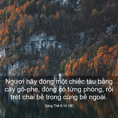 Picture 03 - Sáng Thế 6:14 VIE - Ngươi hãy đóng một chiếc tàu bằng - Bible Verse Picture