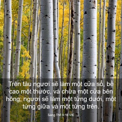 Picture 03 - Sáng Thế 6:16 VIE - Trên tàu ngươi sẽ làm một cửa sổ, - Bible Verse Picture