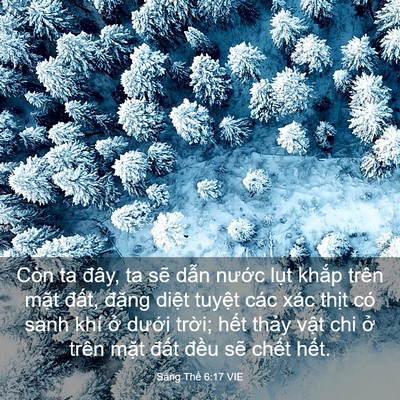 Picture 03 - Sáng Thế 6:17 VIE - Còn ta đây, ta sẽ dẫn nước lụt khắp - Bible Verse Picture