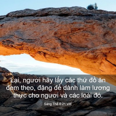 Picture 03 - Sáng Thế 6:21 VIE - Lại, ngươi hãy lấy các thứ đồ ăn - Bible Verse Picture