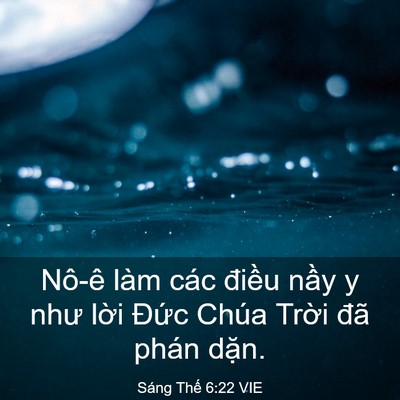 Picture 03 - Sáng Thế 6:22 VIE - Nô-ê làm các điều nầy y như lời - Bible Verse Picture