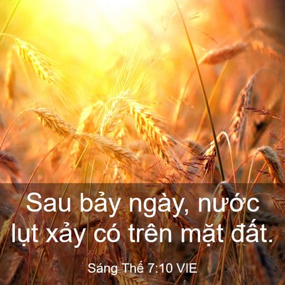 Picture 03 - Sáng Thế 7:10 VIE - Sau bảy ngày, nước lụt xảy có trên - Bible Verse Picture
