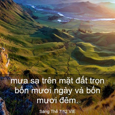 Picture 03 - Sáng Thế 7:12 VIE - mưa sa trên mặt đất trọn bốn mươi - Bible Verse Picture