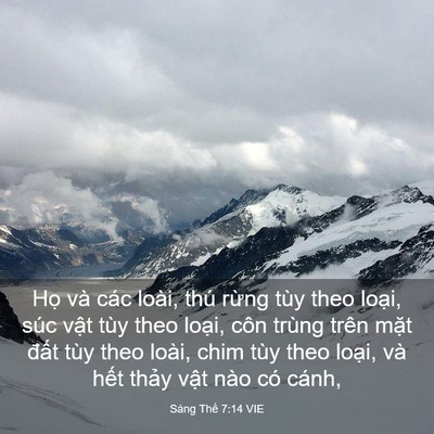 Picture 03 - Sáng Thế 7:14 VIE - Họ và các loài, thú rừng tùy theo - Bible Verse Picture