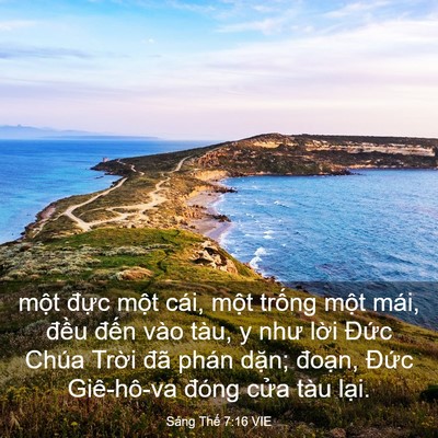 Picture 03 - Sáng Thế 7:16 VIE - một đực một cái, một trống một - Bible Verse Picture