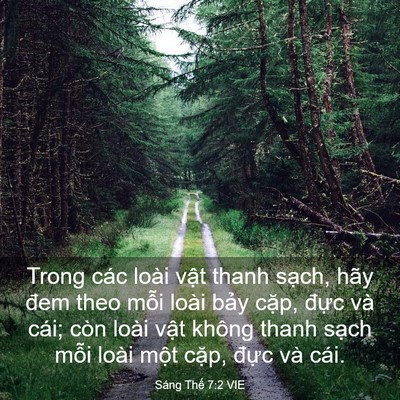 Picture 03 - Sáng Thế 7:2 VIE - Trong các loài vật thanh sạch, hãy đem - Bible Verse Picture