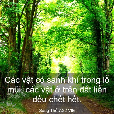 Picture 03 - Sáng Thế 7:22 VIE - Các vật có sanh khí trong lỗ mũi, các - Bible Verse Picture
