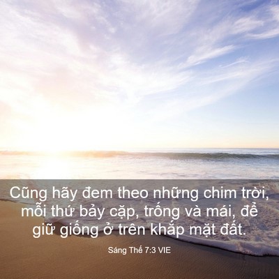 Picture 03 - Sáng Thế 7:3 VIE - Cũng hãy đem theo những chim trời, mỗi - Bible Verse Picture