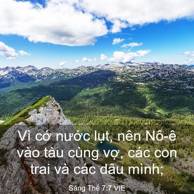 Picture 03 - Sáng Thế 7:7 VIE - Vì cớ nước lụt, nên Nô-ê vào tàu - Bible Verse Picture