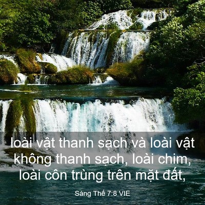 Picture 03 - Sáng Thế 7:8 VIE - loài vật thanh sạch và loài vật không - Bible Verse Picture