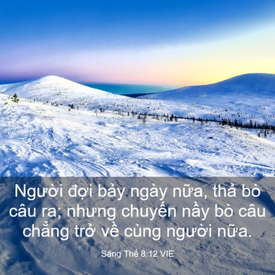 Picture 03 - Sáng Thế 8:12 VIE - Người đợi bảy ngày nữa, thả bò câu - Bible Verse Picture