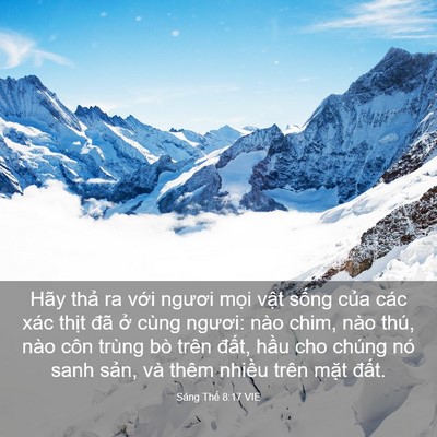 Picture 03 - Sáng Thế 8:17 VIE - Hãy thả ra với ngươi mọi vật sống - Bible Verse Picture