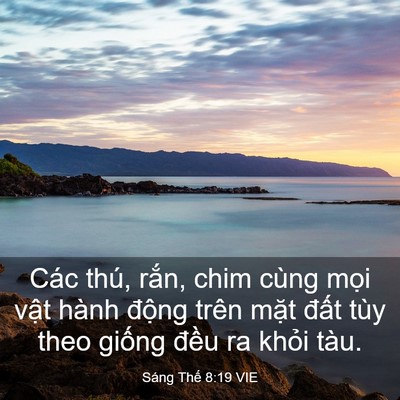 Picture 03 - Sáng Thế 8:19 VIE - Các thú, rắn, chim cùng mọi vật hành - Bible Verse Picture