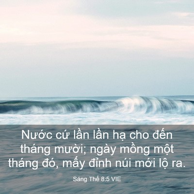 Picture 03 - Sáng Thế 8:5 VIE - Nước cứ lần lần hạ cho đến tháng - Bible Verse Picture