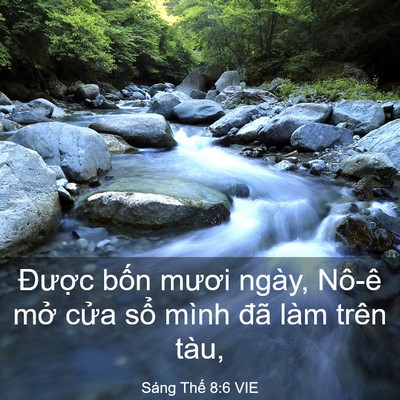 Picture 03 - Sáng Thế 8:6 VIE - Được bốn mươi ngày, Nô-ê mở cửa - Bible Verse Picture
