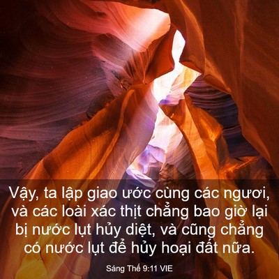 Picture 03 - Sáng Thế 9:11 VIE - Vậy, ta lập giao ước cùng các ngươi, - Bible Verse Picture