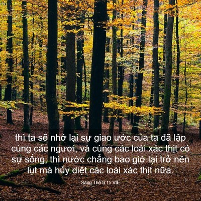 Picture 03 - Sáng Thế 9:15 VIE - thì ta sẽ nhớ lại sự giao ước của - Bible Verse Picture