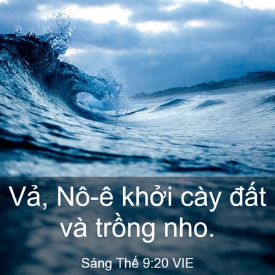 Picture 03 - Sáng Thế 9:20 VIE - Vả, Nô-ê khởi cày đất và trồng - Bible Verse Picture