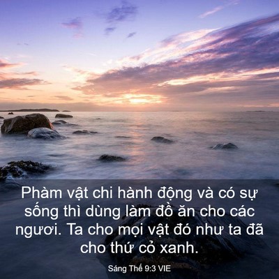 Picture 03 - Sáng Thế 9:3 VIE - Phàm vật chi hành động và có sự sống - Bible Verse Picture